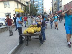 Арарат (Подробности). Часть  третья